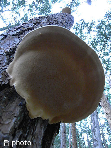 b0061004_2381074.jpg