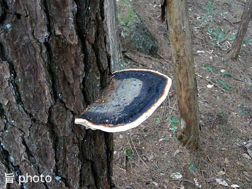 b0061004_2382155.jpg