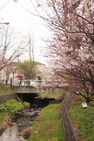 c0202705_17112056.jpg