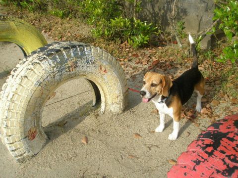 c0205806_19155814.jpg