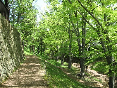 c0117007_21112766.jpg