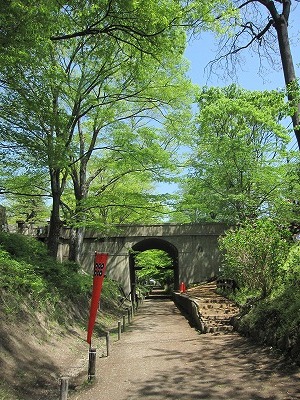 c0117007_21115688.jpg