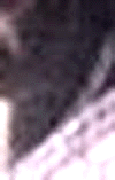 e0103408_12122110.gif