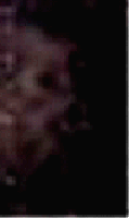 e0103408_1262130.gif