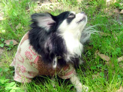 e0177509_23473761.jpg