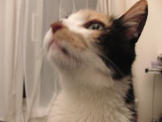 c0201113_0234389.jpg