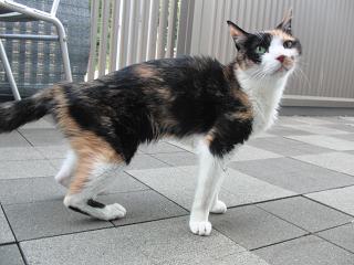 c0201113_055611.jpg