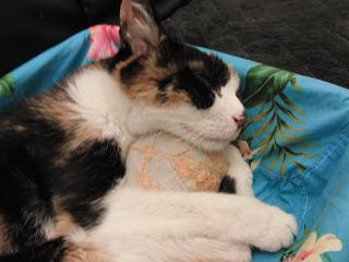 c0201113_162556.jpg
