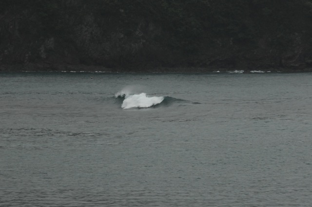 f0116314_1627113.jpg