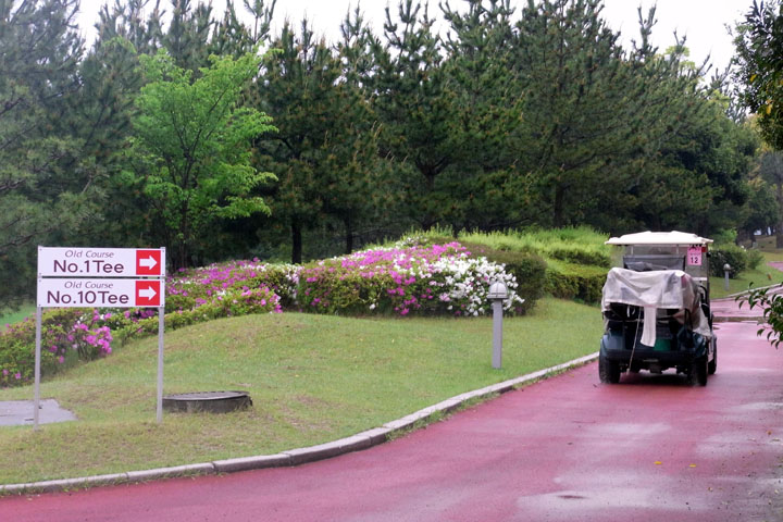 e0083517_1157861.jpg