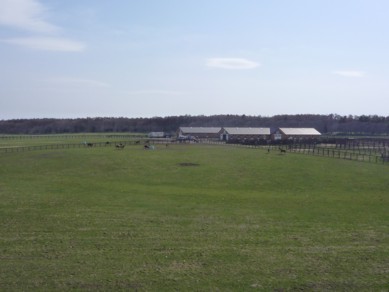 b0121019_2043457.jpg