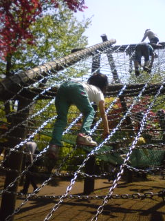 e0161219_22261038.jpg