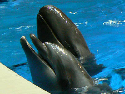 e0148120_16155222.jpg