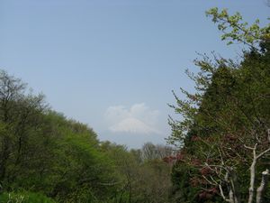 b0158723_2232526.jpg