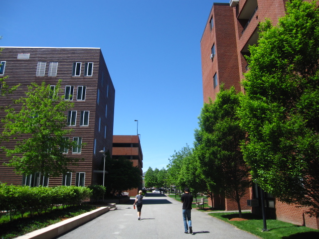 f0194826_12555784.jpg
