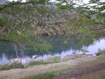 a0168629_0143489.jpg