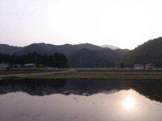 a0168629_093476.jpg