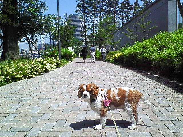 f0232430_2203661.jpg