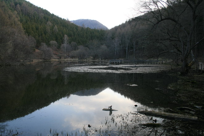 c0035931_22212998.jpg