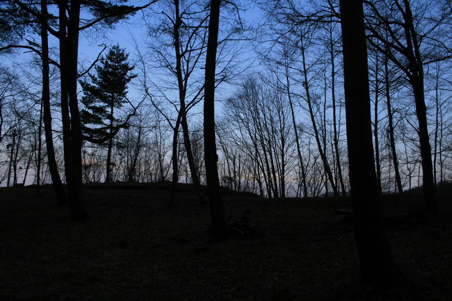 c0035931_2263785.jpg
