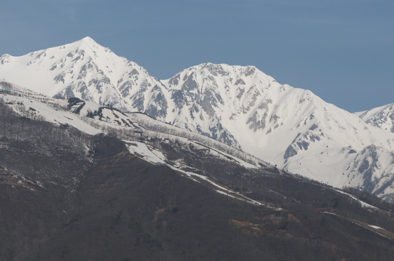 a0126632_912784.jpg