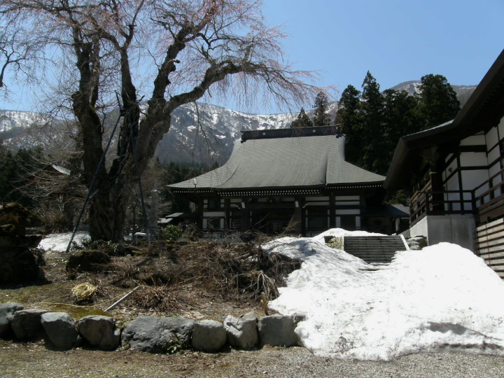 a0126632_918544.jpg