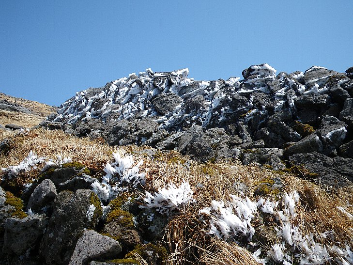 f0118332_2339583.jpg