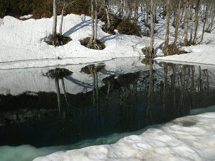 f0118332_23521891.jpg