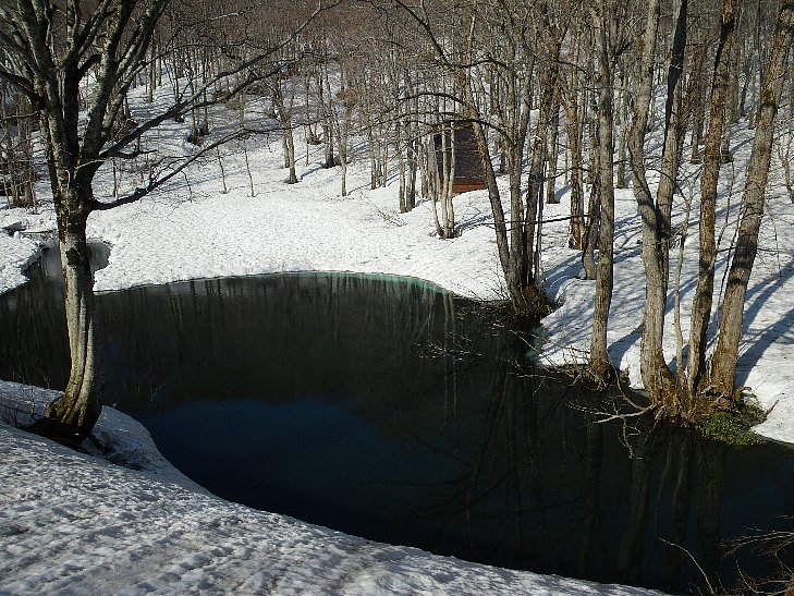 f0118332_2352301.jpg