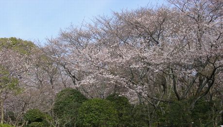 b0135438_2185722.jpg