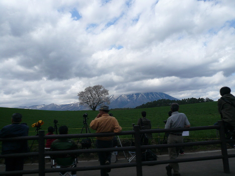 d0156438_23151640.jpg