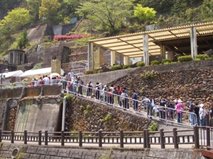 b0074640_020179.jpg