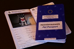 c0153740_3374316.jpg