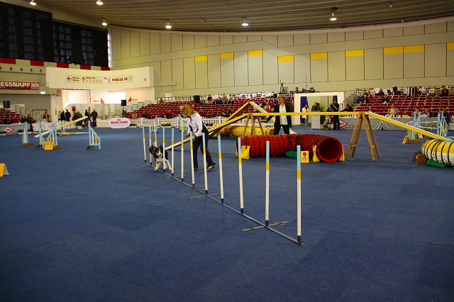 c0153740_4111282.jpg