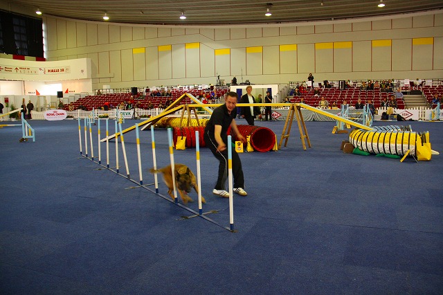 c0153740_4124782.jpg