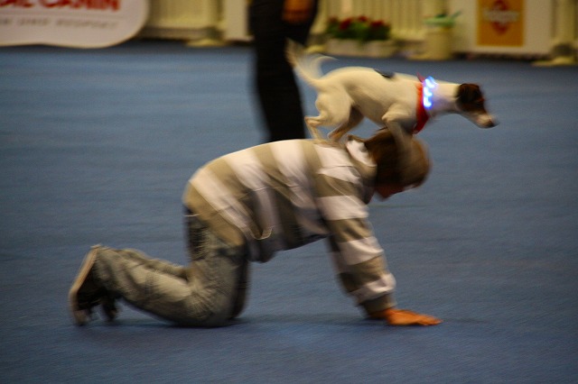c0153740_4173556.jpg