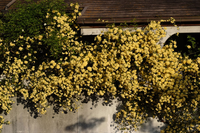 b0075541_1418159.jpg