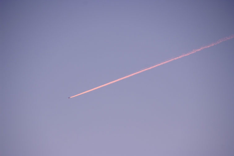 b0075541_14363643.jpg