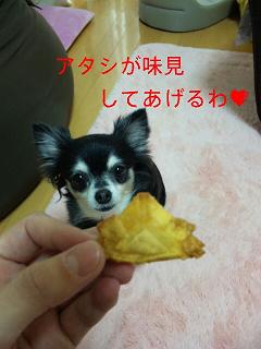 c0121141_1572780.jpg
