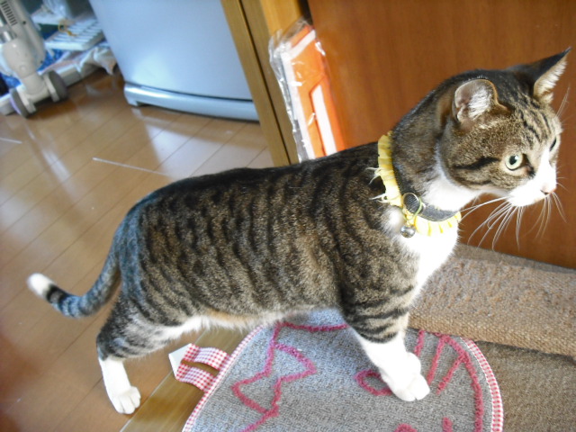 c0194042_14591740.jpg