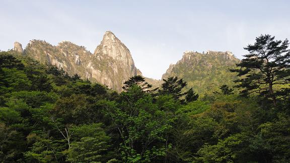 e0164643_1528536.jpg