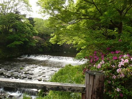 c0057946_22444324.jpg