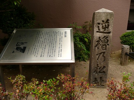 c0057946_22542969.jpg