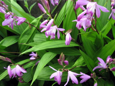 c0147952_1825583.jpg