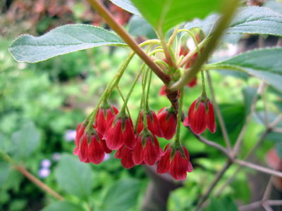 c0147952_1834314.jpg