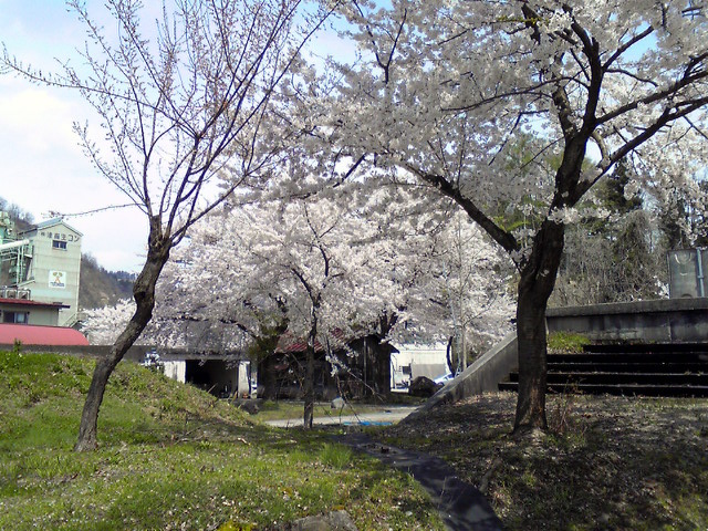 c0164652_20113248.jpg