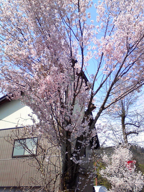 c0164652_2053849.jpg