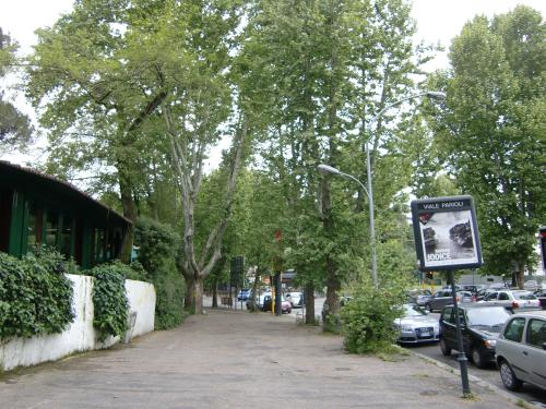 c0206352_6392127.jpg