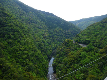 d0146153_1726582.jpg