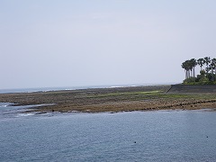 d0146153_1882032.jpg